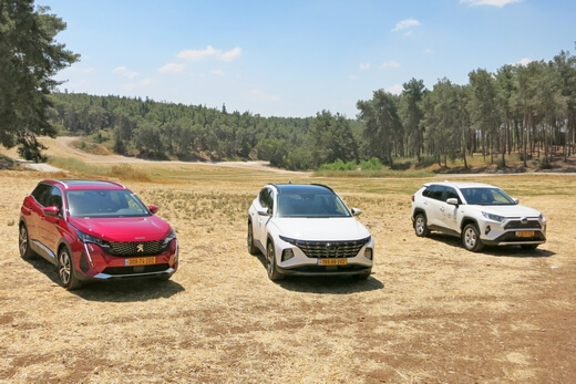 מבחן ג'יפונים